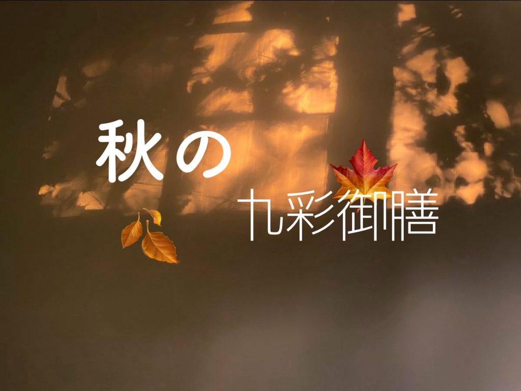 秋の九彩御膳🍁🍂